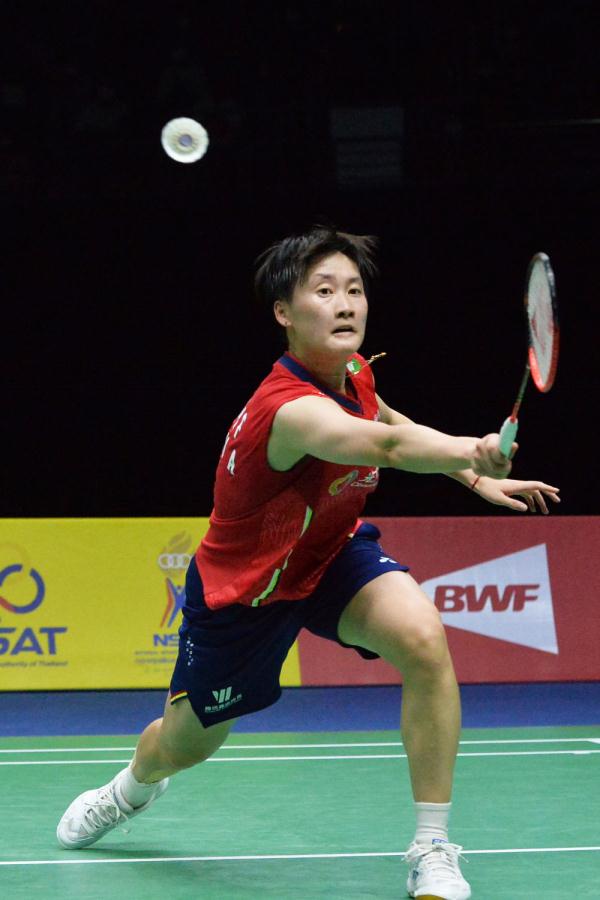 提供多样化 提供多样化